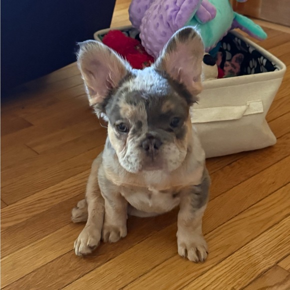 Meet your Posher, Lorraine - Picture 9 of 10